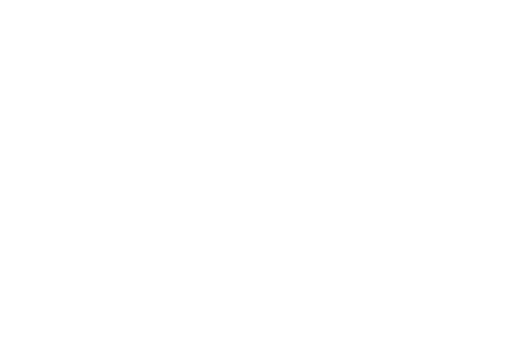 LIFTSTEEL Logo